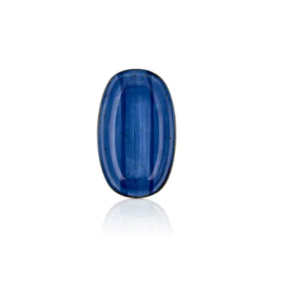 Enıgma Zest 24 Cm Oval Tabak 24*14 Cm