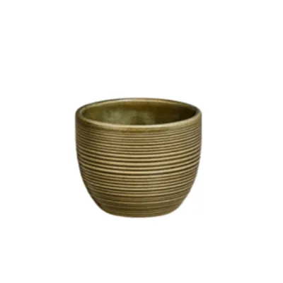Helix Bamboo Kulpsuz Fincanı 220 cc