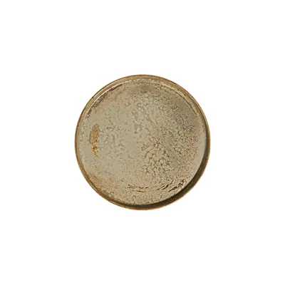 Fall Sage Stolt Düz Tabak 25,5 cm