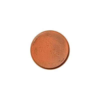 Fall Terra Stolt Düz Tabak 21 cm