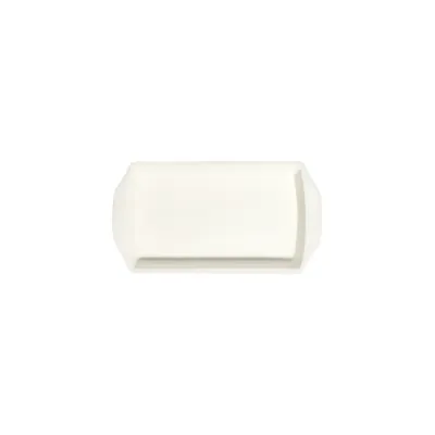 Transparan Braise Dikdörtgen Fırın Kabı 26 cm (26 * 14)