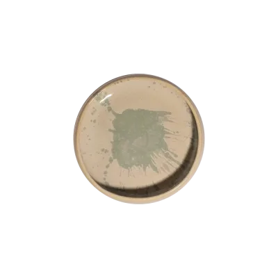 Limette Celesta Çukur Tabak 22 cm 1200 cc