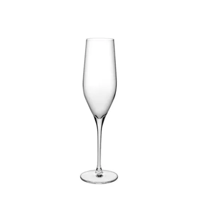 66079 Vinifera Şampanya Kadehi