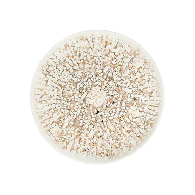 Mosaic Sand Tuval Düz Tabak 25 cm