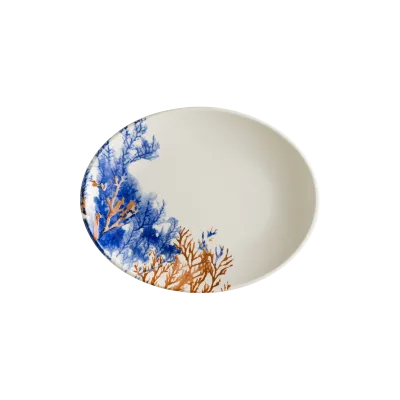 Aquelis 2 Moove Oval Plate 25 cm