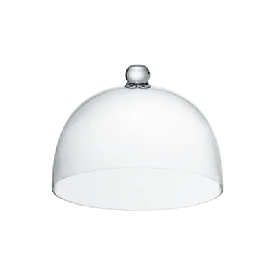 Cake Cover 21 cm