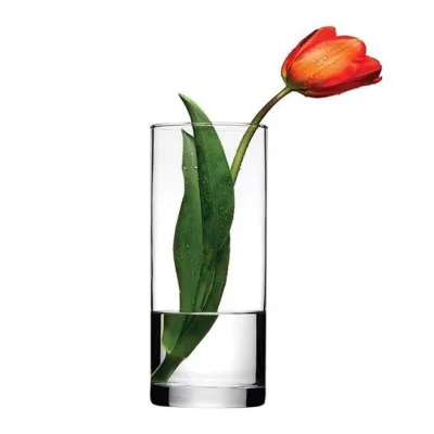 43767 Botanica Vazo