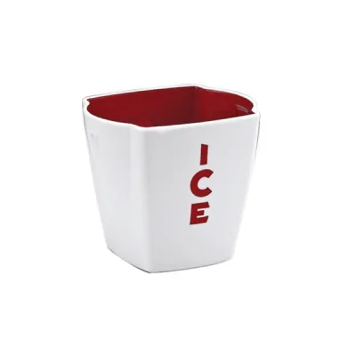 Mini Buz Kovası