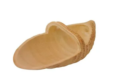 Bambu Kök Kase